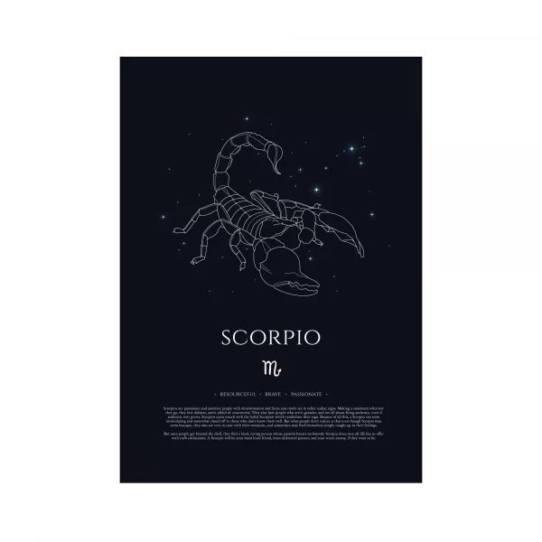 Scorpio Black Print