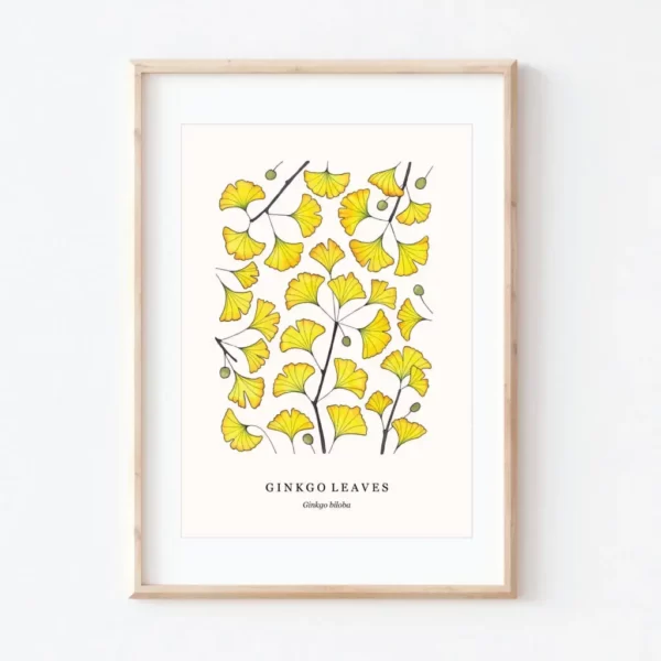 Ginkgo Leaves