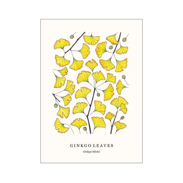 Ginkgo Leaves - Image 2