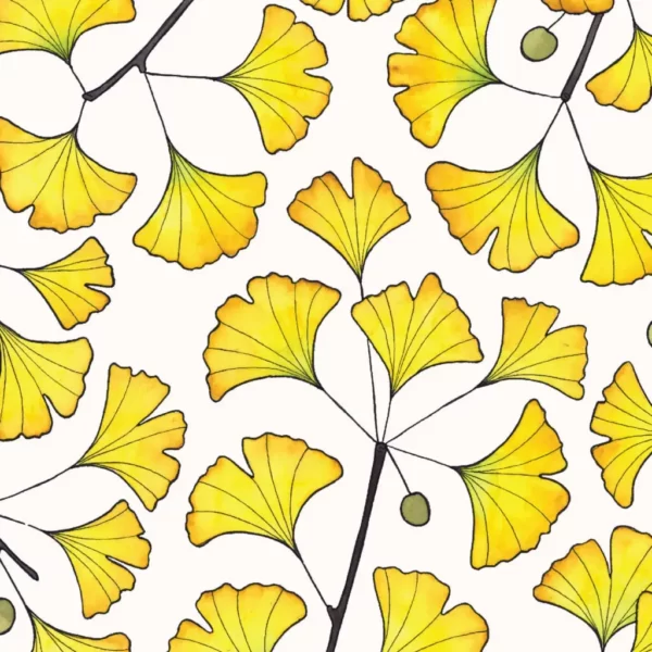 Ginkgo Leaves - Image 4