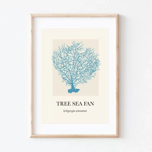 Coral Tree Sea Fan