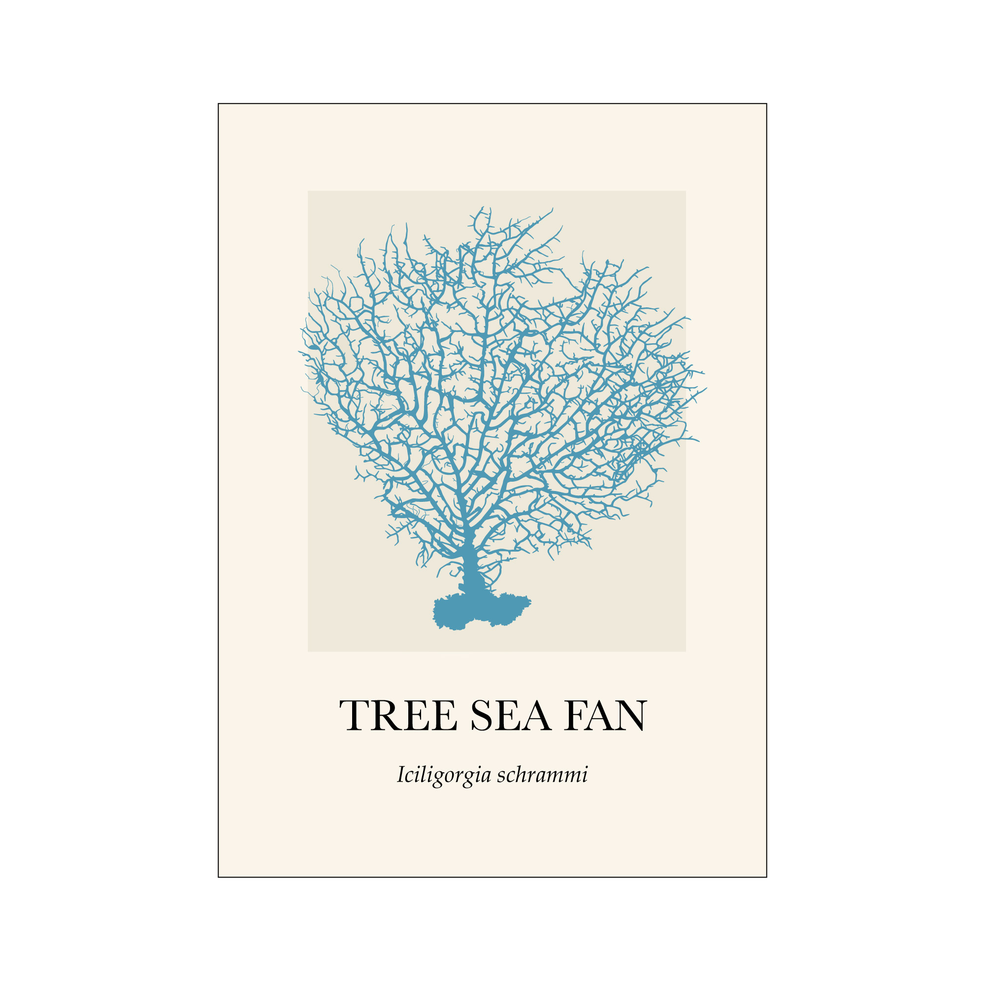 Coral Tree Sea Fan - Image 3