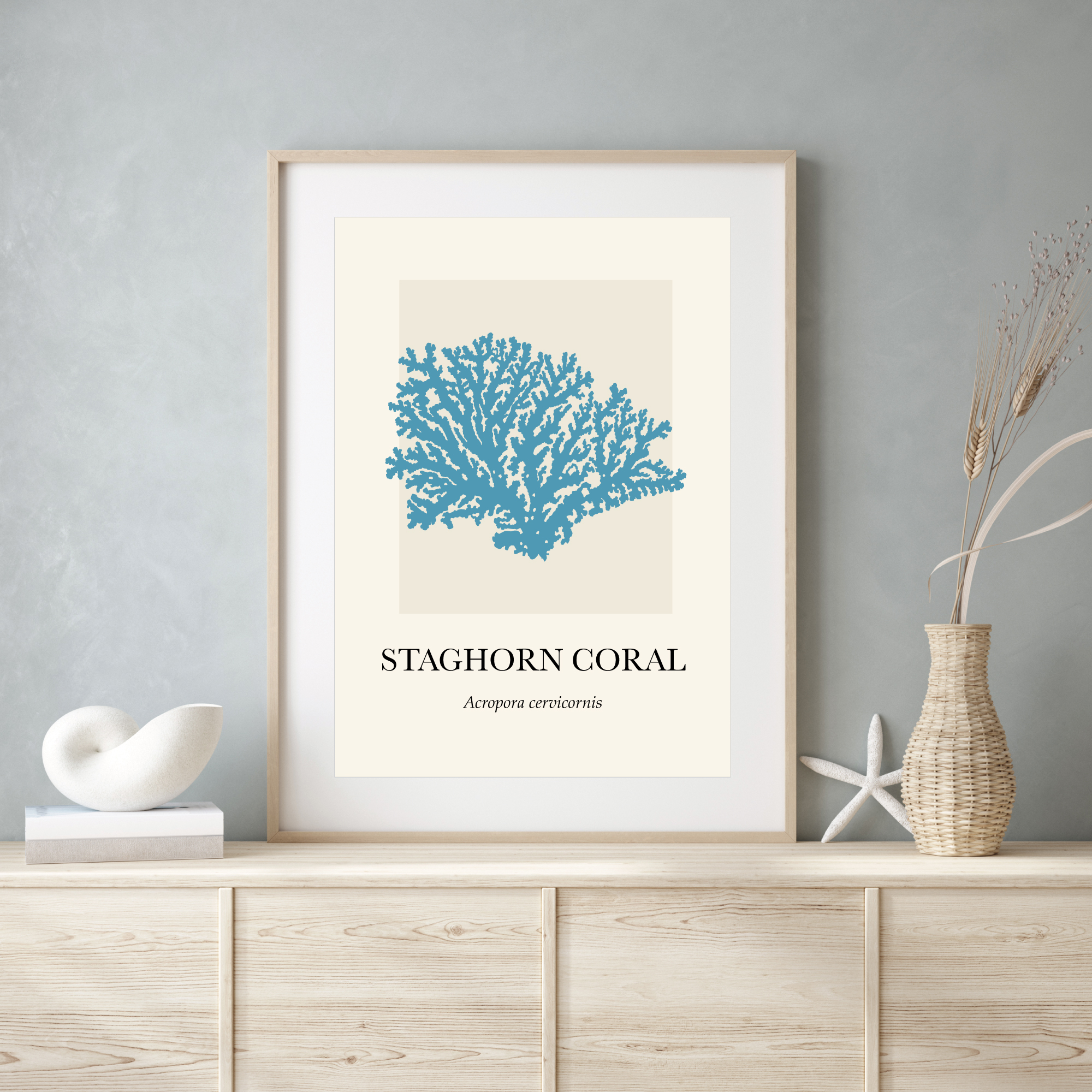 Coral Staghorn - Image 2
