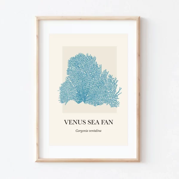 Coral Venus Sea Fan