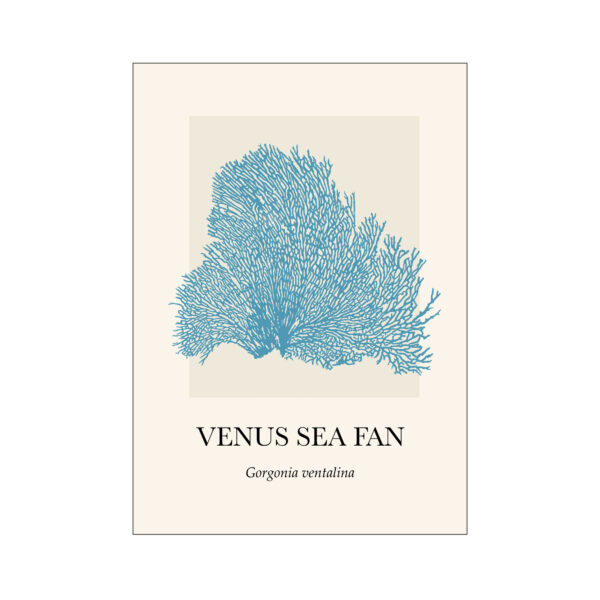 Coral Venus Sea Fan - Image 3