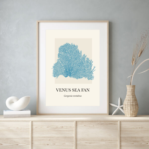 Coral Venus Sea Fan - Image 2