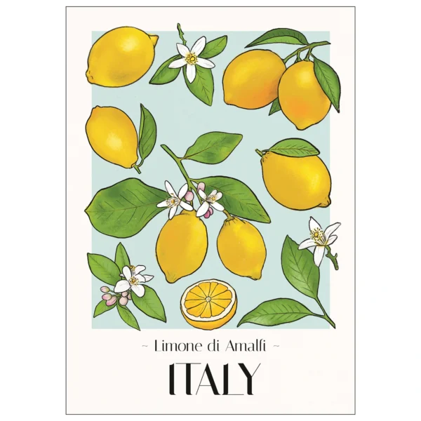Italian Amalfi Lemons - Image 3