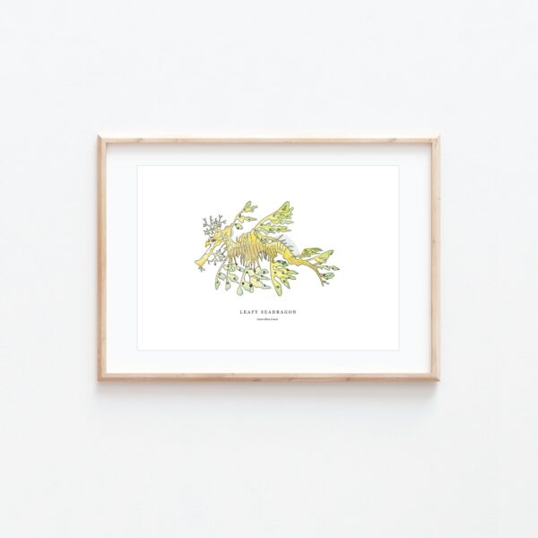 Leafy Seadragon