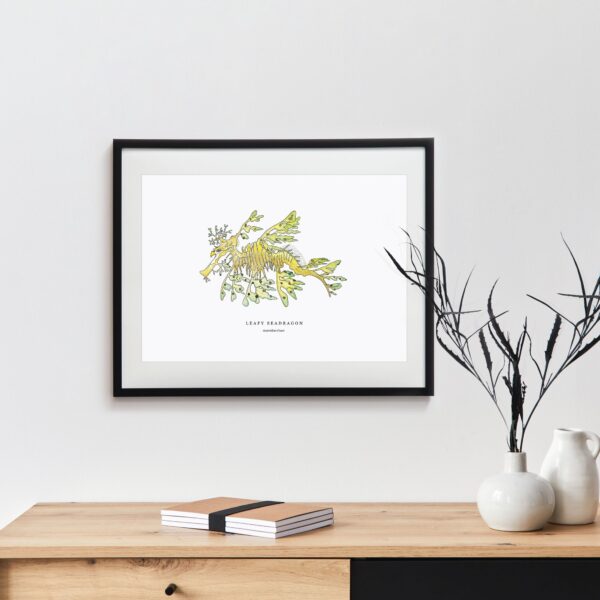 Leafy Seadragon - Image 2