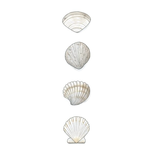 Shell Set - Image 4