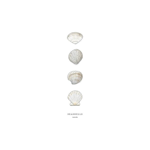 Shell Set - Image 6