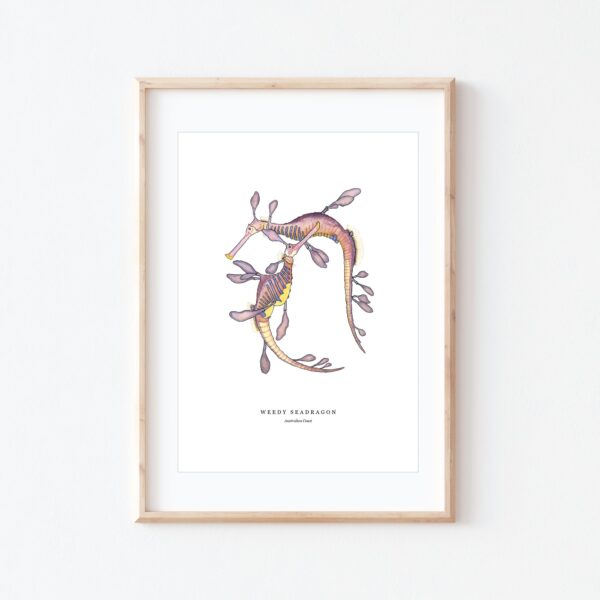 Weedy Seadragon