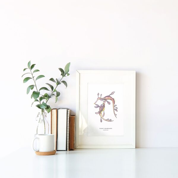 Weedy Seadragon - Image 2