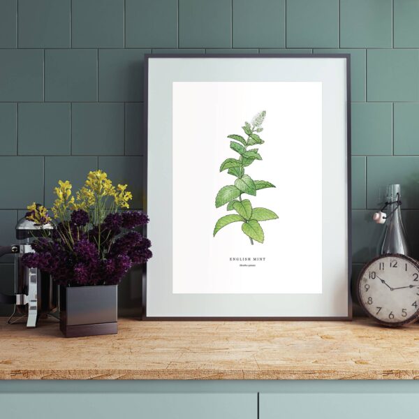 English Mint - Image 2
