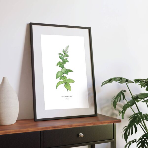English Mint - Image 7