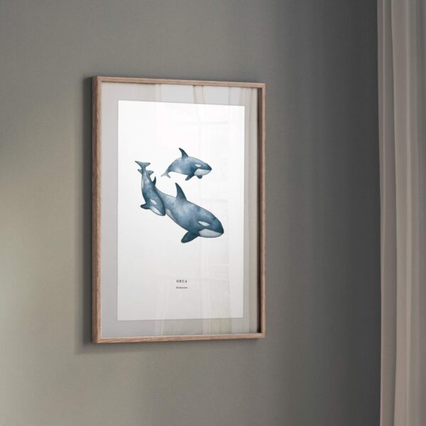 Orca - Image 2