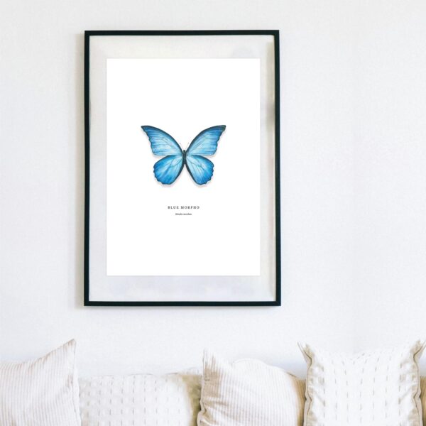 Blue Morpho - Image 6