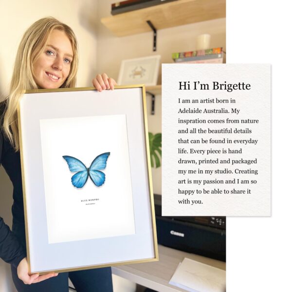 Blue Morpho - Image 3