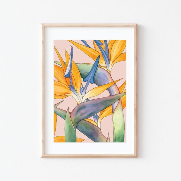 Watercolour illustration of Birds of Paradise flowers on pink background by Brigette Rivers, BRD Prints