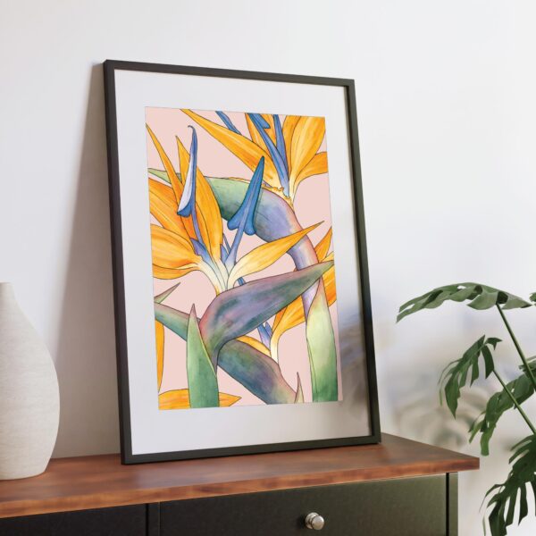 Watercolour illustration of Birds of Paradise flowers on pink background by Brigette Rivers, BRD Prints