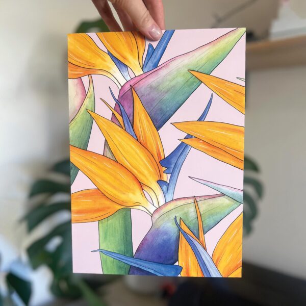 Watercolour illustration of Birds of Paradise flowers on pink background by Brigette Rivers, BRD Prints