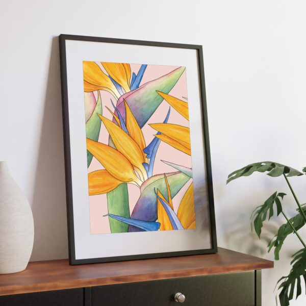 Watercolour illustration of Birds of Paradise flowers on pink background by Brigette Rivers, BRD Prints