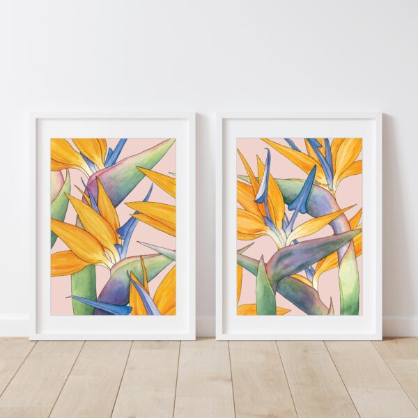 Watercolour illustration of Birds of Paradise flowers on pink background in set of two by Brigette Rivers, BRD Prints