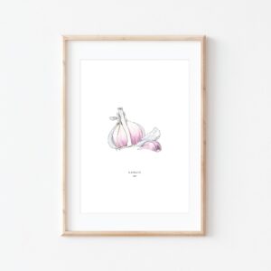 Watercolour illustration of 'Garlic' on white background by Brigette Rivers, BRD Prints
