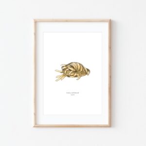 Watercolour illustration of 'Tagliatelle' on white background by Brigette Rivers, BRD Prints