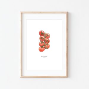 Watercolour illustration of 'Tomatoes' on white background by Brigette Rivers, BRD Prints