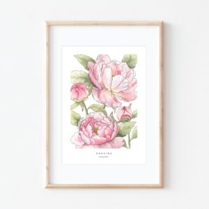 'Peonies' watercolour print in frame by Artist Brigette Rivers of BRD Prints