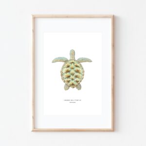 'Green Sea Turtle' watercolour print in frame by Artist Brigette Rivers of BRD Prints